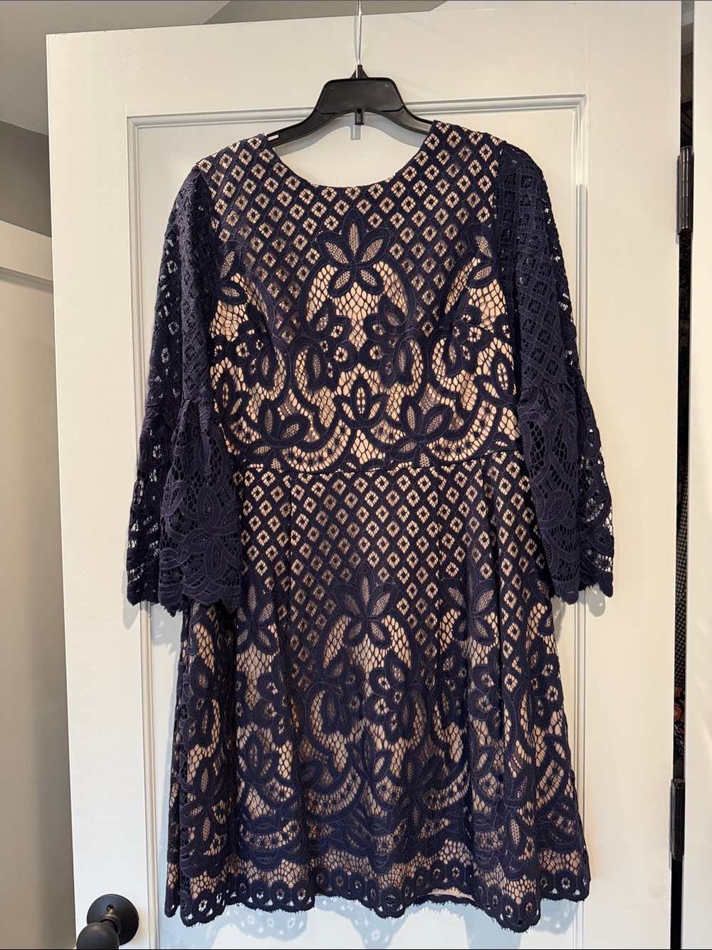 Eliza J Navy Lace A-Line Dress with Nude Lining
